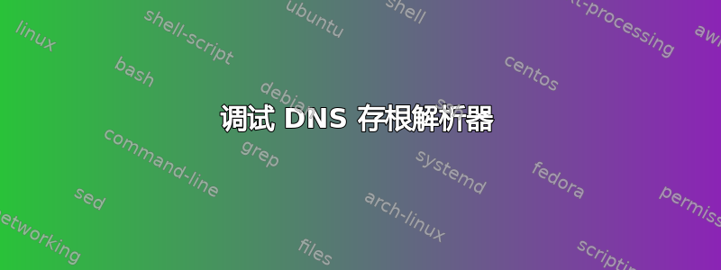 调试 DNS 存根解析器