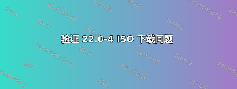 验证 22.0-4 ISO 下载问题