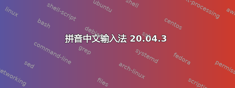 拼音中文输入法 20.04.3