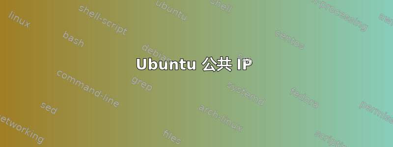 Ubuntu 公共 IP