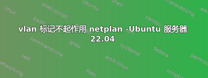 vlan 标记不起作用 netplan -Ubuntu 服务器 22.04