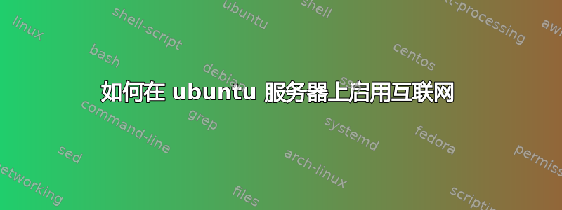 如何在 ubuntu 服务器上启用互联网