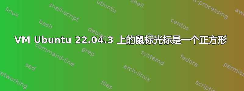 VM Ubuntu 22.04.3 上的鼠标光标是一个正方形