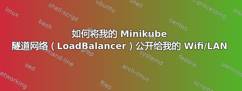 如何将我的 Minikube 隧道网络（LoadBalancer）公开给我的 Wifi/LAN