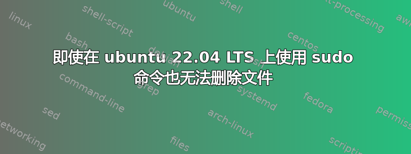 即使在 ubuntu 22.04 LTS 上使用 sudo 命令也无法删除文件