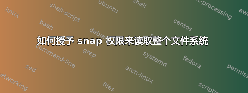 如何授予 snap 权限来读取整个文件系统