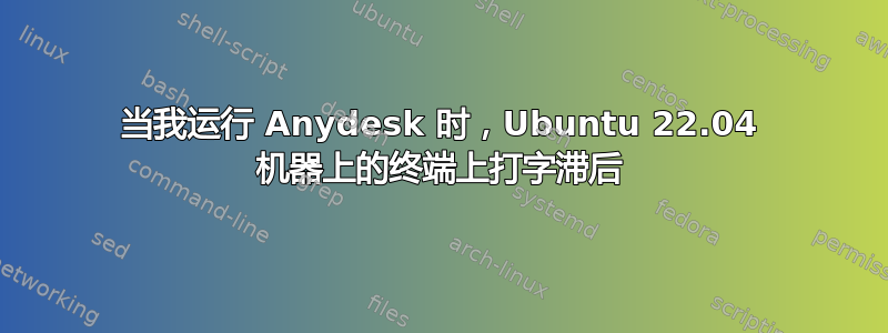 当我运行 Anydesk 时，Ubuntu 22.04 机器上的终端上打字滞后