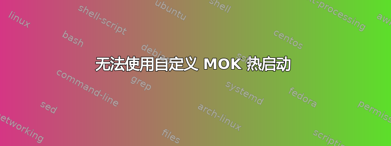 无法使用自定义 MOK 热启动