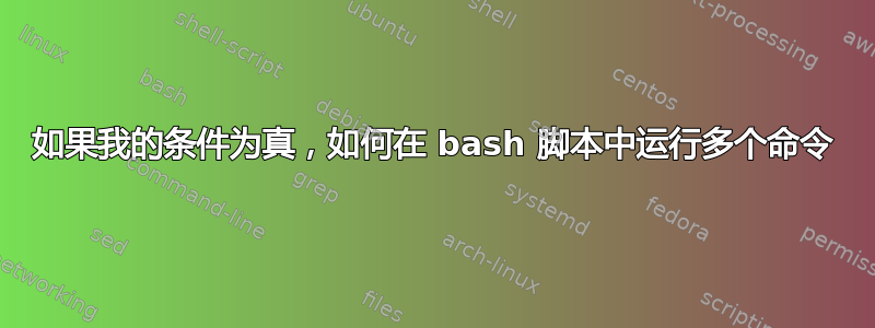 如果我的条件为真，如何在 bash 脚本中运行多个命令