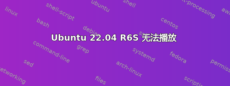 Ubuntu 22.04 R6S 无法播放