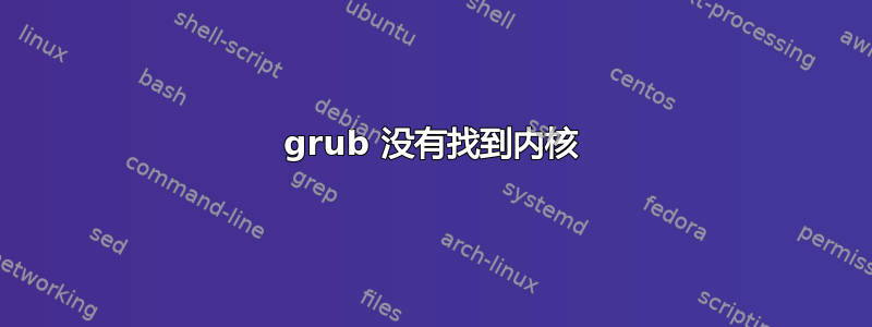 grub 没有找到内核