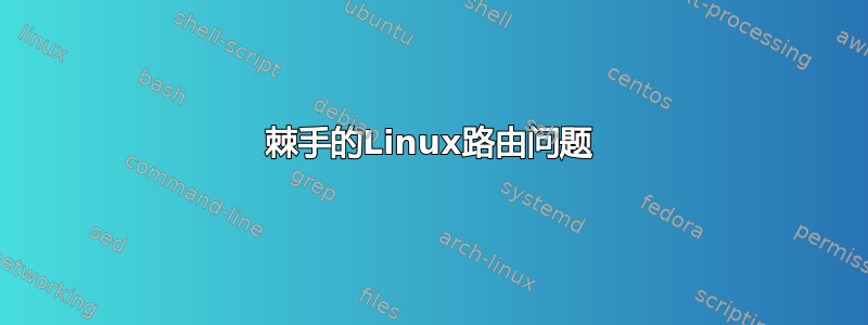 棘手的Linux路由问题