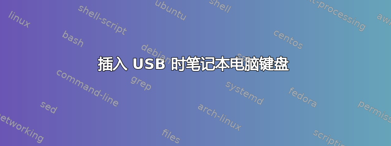 插入 USB 时笔记本电脑键盘