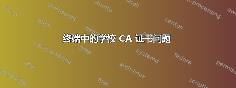 终端中的学校 CA 证书问题