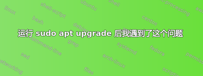 运行 sudo apt upgrade 后我遇到了这个问题