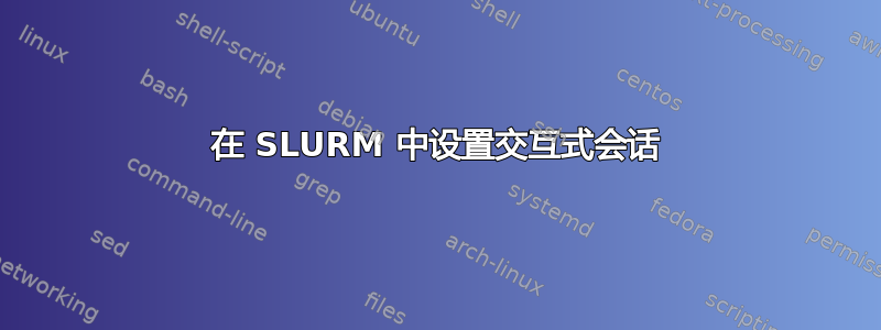 在 SLURM 中设置交互式会话