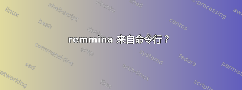 remmina 来自命令行？