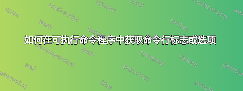 如何在可执行命令程序中获取命令行标志或选项