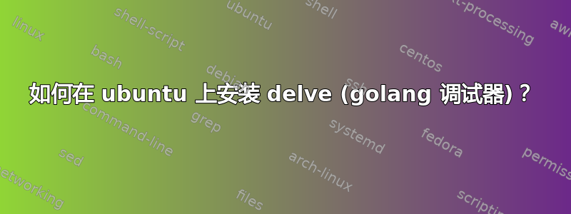 如何在 ubuntu 上安装 delve (golang 调试器)？