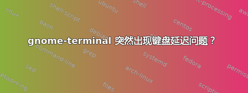 gnome-terminal 突然出现键盘延迟问题？