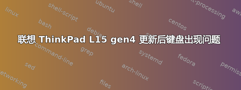 联想 ThinkPad L15 gen4 更新后键盘出现问题