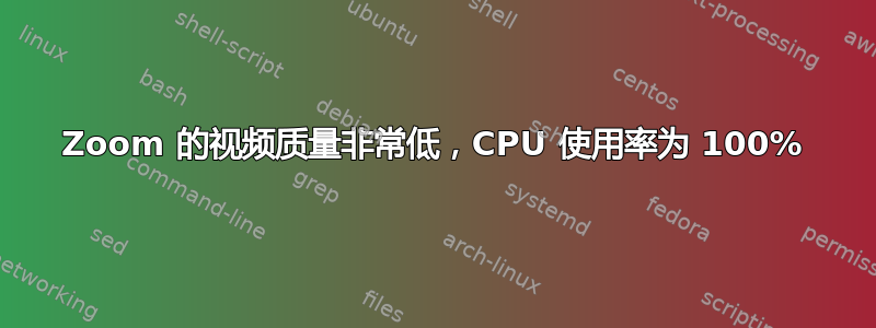 Zoom 的视频质量非常低，CPU 使用率为 100%