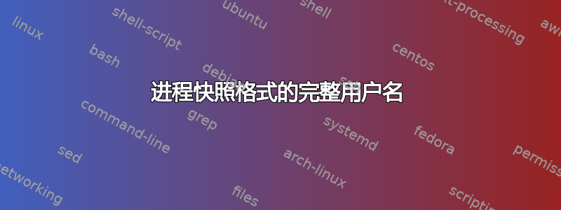 进程快照格式的完整用户名