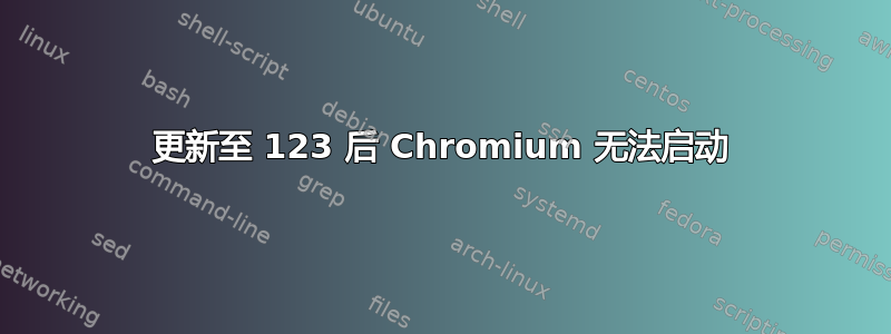 更新至 123 后 Chromium 无法启动