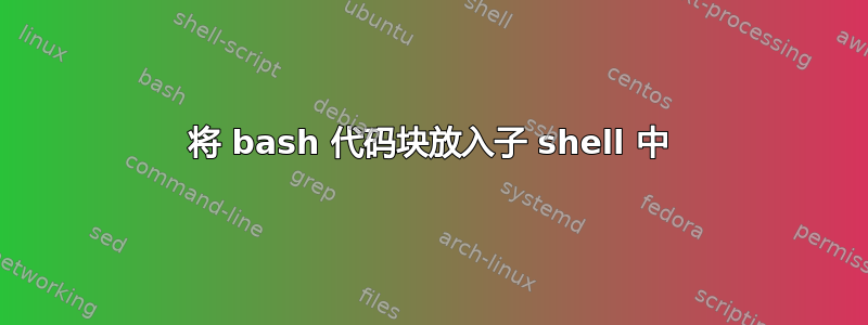 将 bash 代码块放入子 shell 中