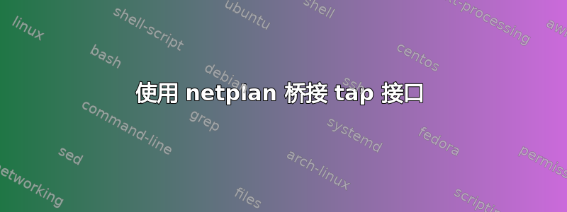 使用 netplan 桥接 tap 接口