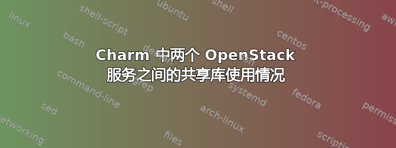 Charm 中两个 OpenStack 服务之间的共享库使用情况