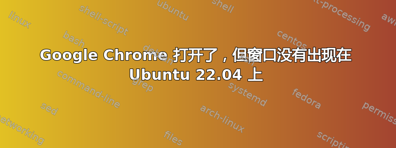 Google Chrome 打开了，但窗口没有出现在 Ubuntu 22.04 上