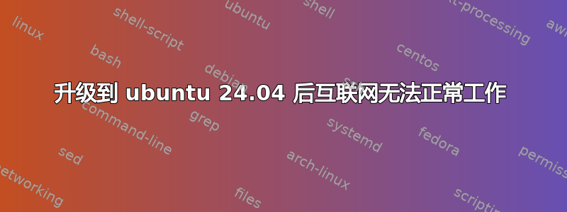 升级到 ubuntu 24.04 后互联网无法正常工作