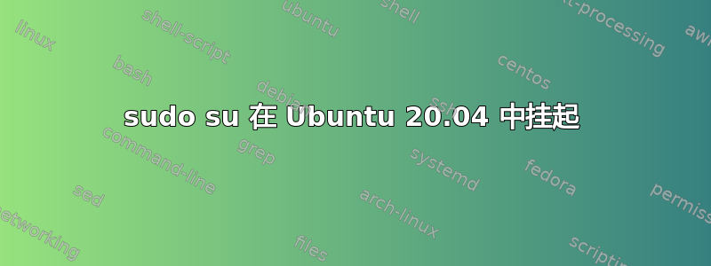 sudo su 在 Ubuntu 20.04 中挂起