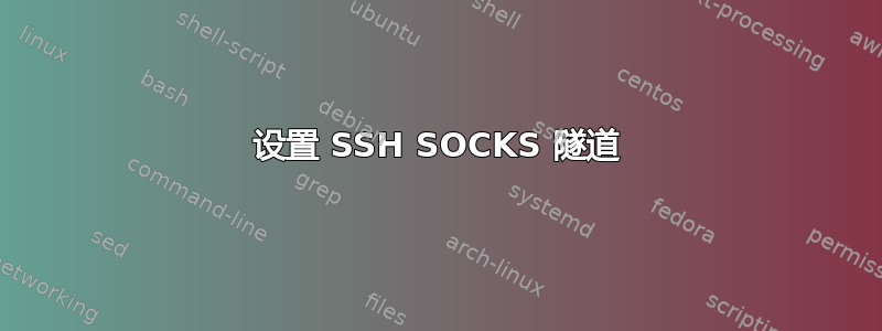 设置 SSH SOCKS 隧道