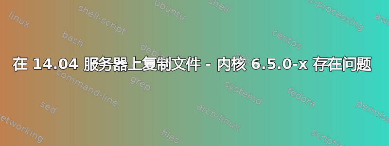 在 14.04 服务器上复制文件 - 内核 6.5.0-x 存在问题