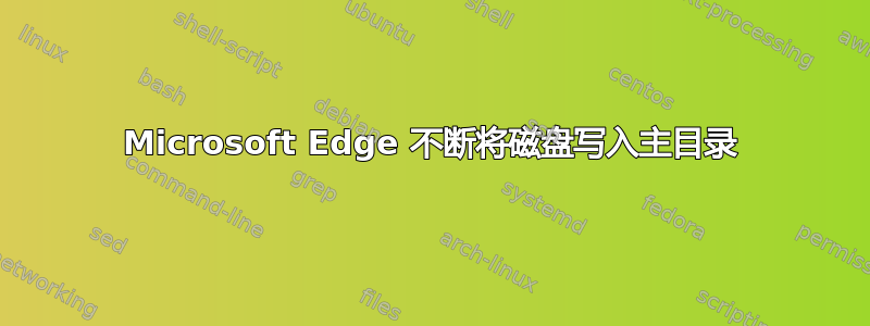 Microsoft Edge 不断将磁盘写入主目录