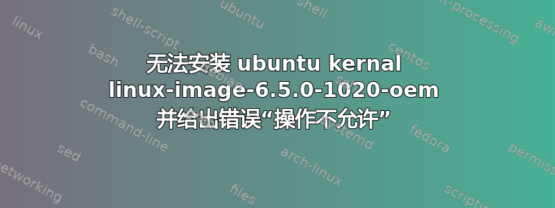 无法安装 ubuntu kernal linux-image-6.5.0-1020-oem 并给出错误“操作不允许”
