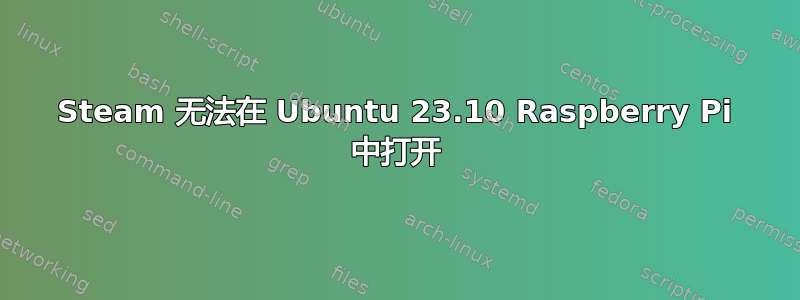 Steam 无法在 Ubuntu 23.10 Raspberry Pi 中打开