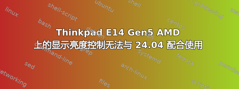 Thinkpad E14 Gen5 AMD 上的显示亮度控制无法与 24.04 配合使用