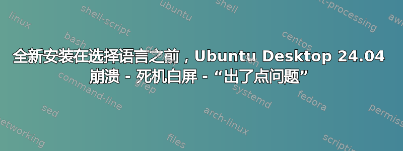 全新安装在选择语言之前，Ubuntu Desktop 24.04 崩溃 - 死机白屏 - “出了点问题”
