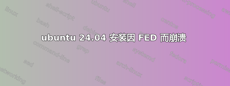 ubuntu 24.04 安装因 FED 而崩溃