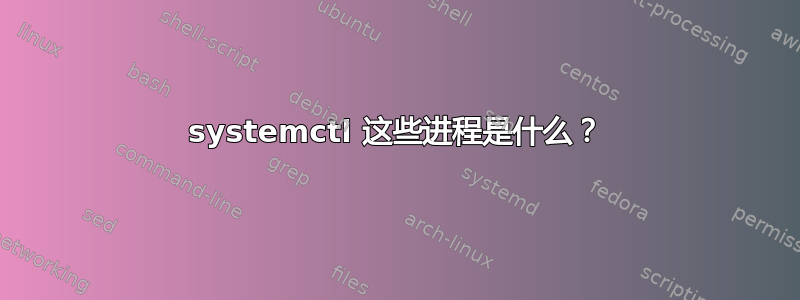 systemctl 这些进程是什么？