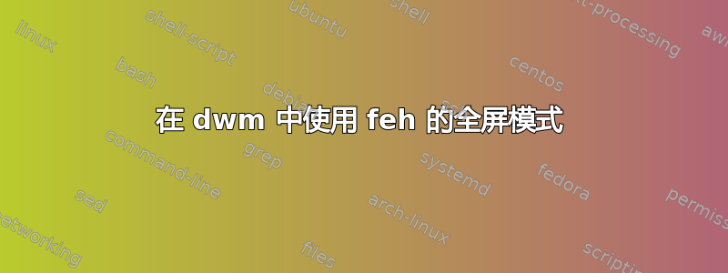 在 dwm 中使用 feh 的全屏模式