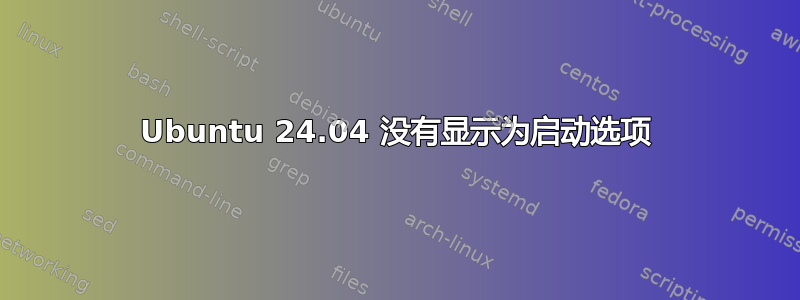 Ubuntu 24.04 没有显示为启动选项