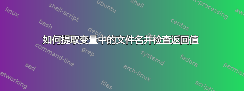 如何提取变量中的文件名并检查返回值