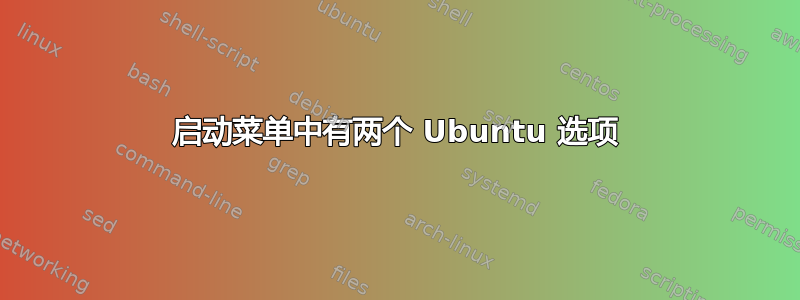 启动菜单中有两个 Ubuntu 选项