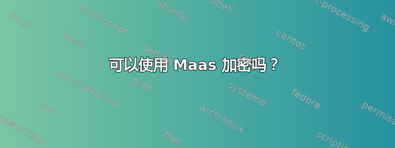 可以使用 Maas 加密吗？