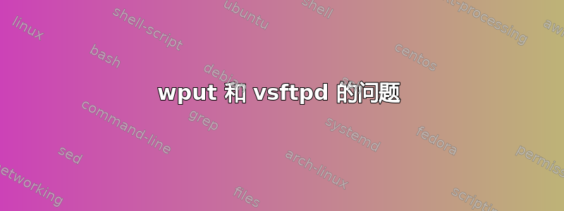 wput 和 vsftpd 的问题