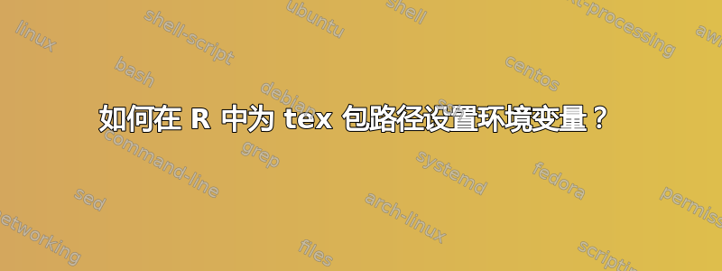 如何在 R 中为 tex 包路径设置环境变量？